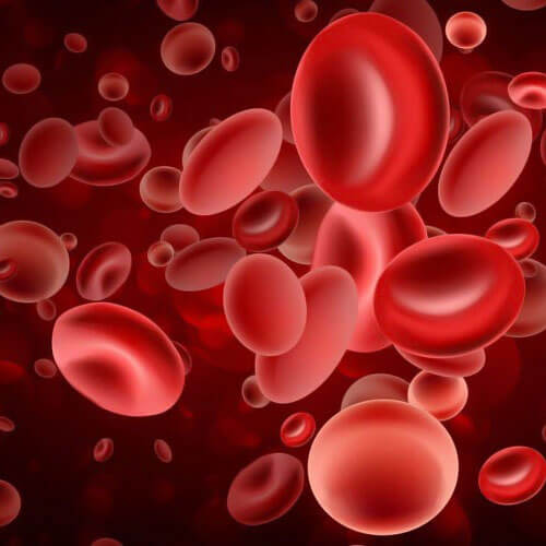 Blood Boost & Iron IV Drip Therapy in Dubai